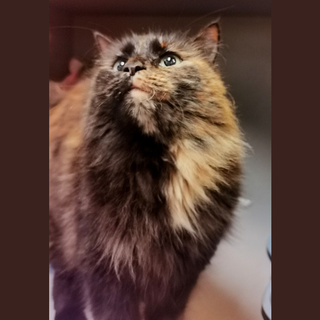 Photo of Tim Tam