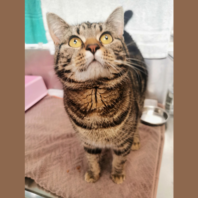 Photo of Arlo