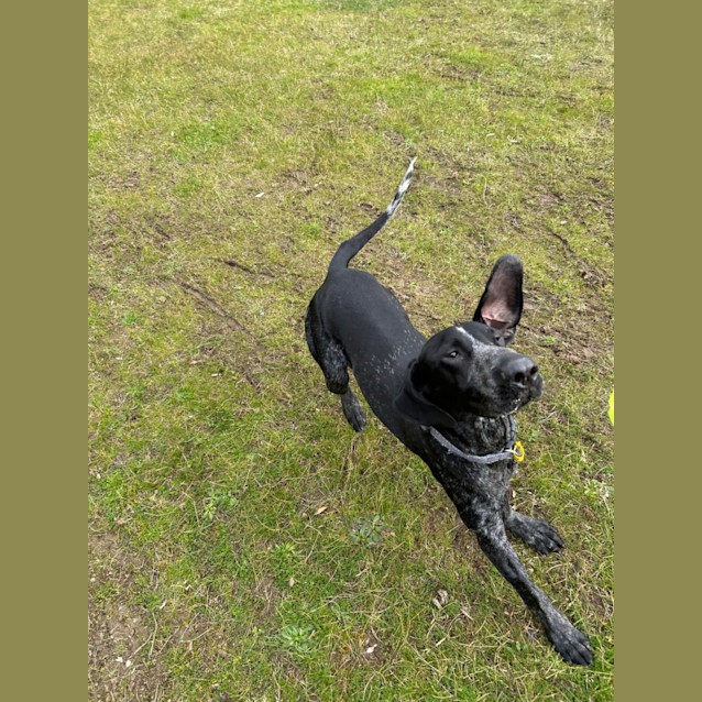 Photo of Stryder
