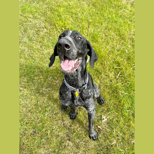Photo of Stryder
