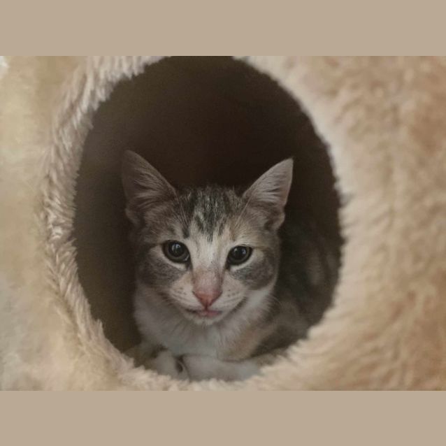 Photo of Wilma