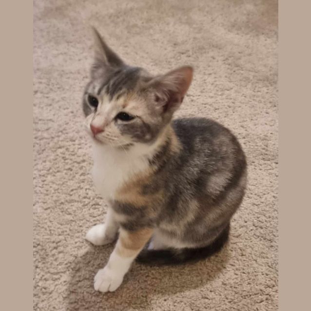 Photo of Wilma