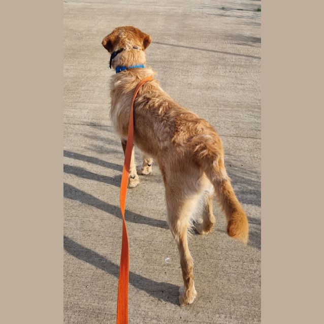 Photo of Remi