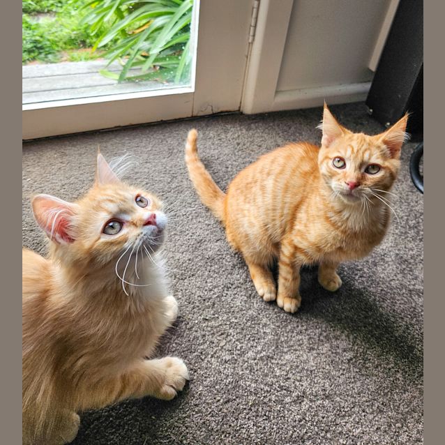 Photo of Gordon (And Rupert)
