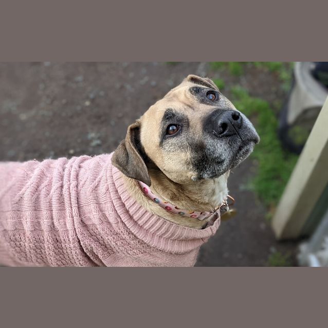 Photo of Marley