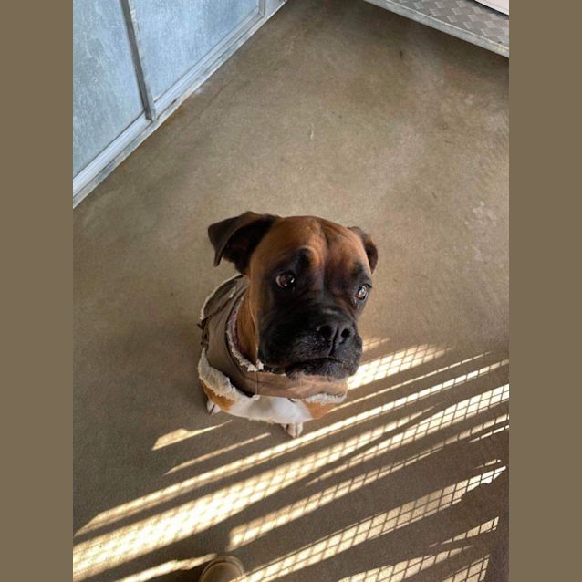 Photo of Koko And Mali