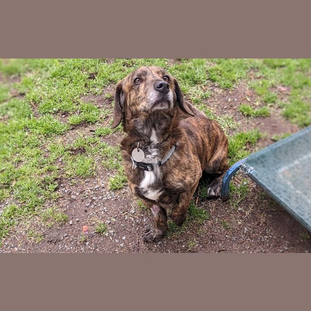 Photo of Slinky