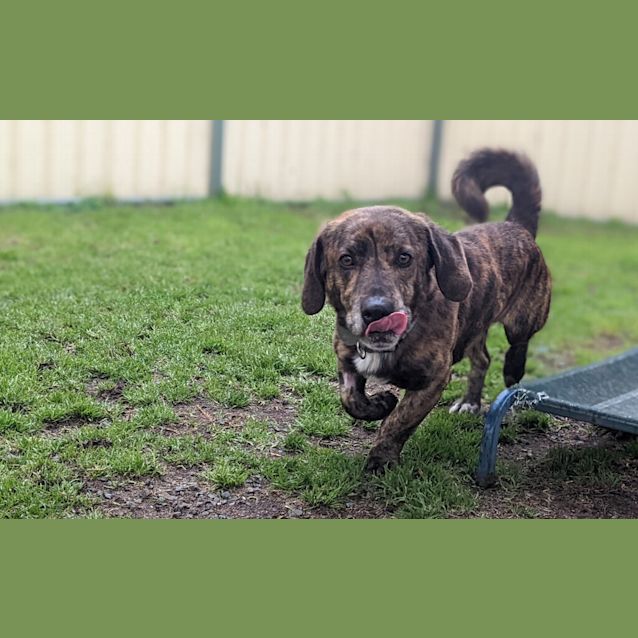 Photo of Slinky