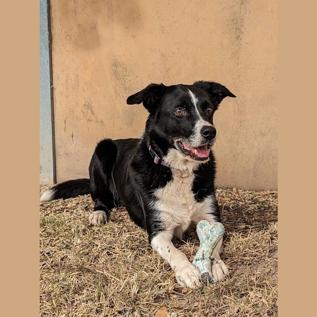 Photo of Luna