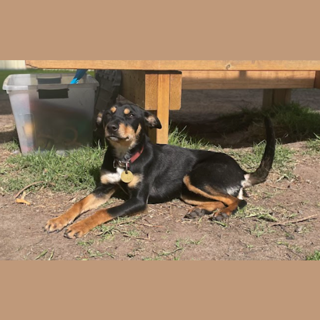 Photo of Chiquita