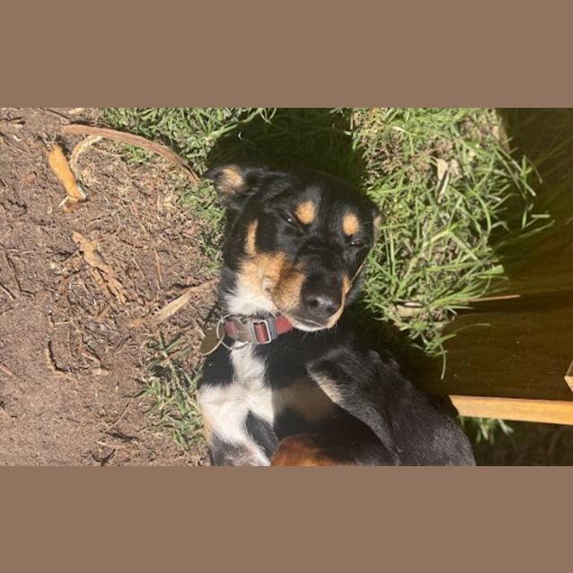 Photo of Chiquita