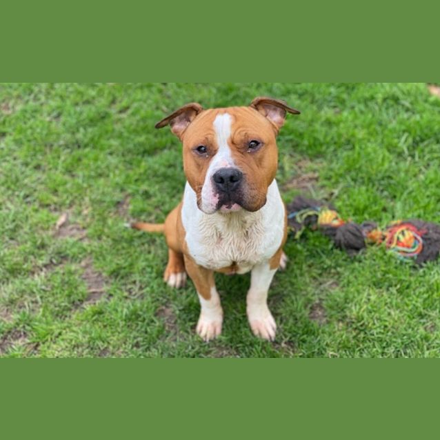 Photo of Gus