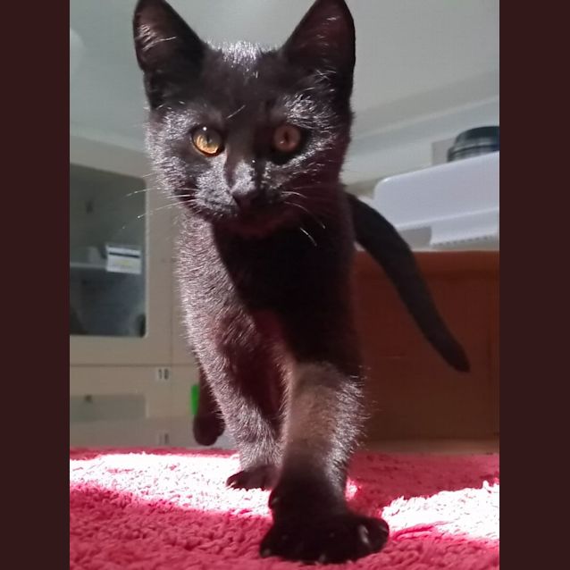 Photo of Charles (9647)