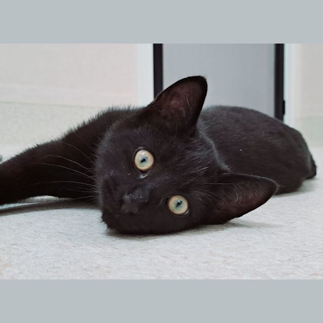 Photo of Charles (9647)