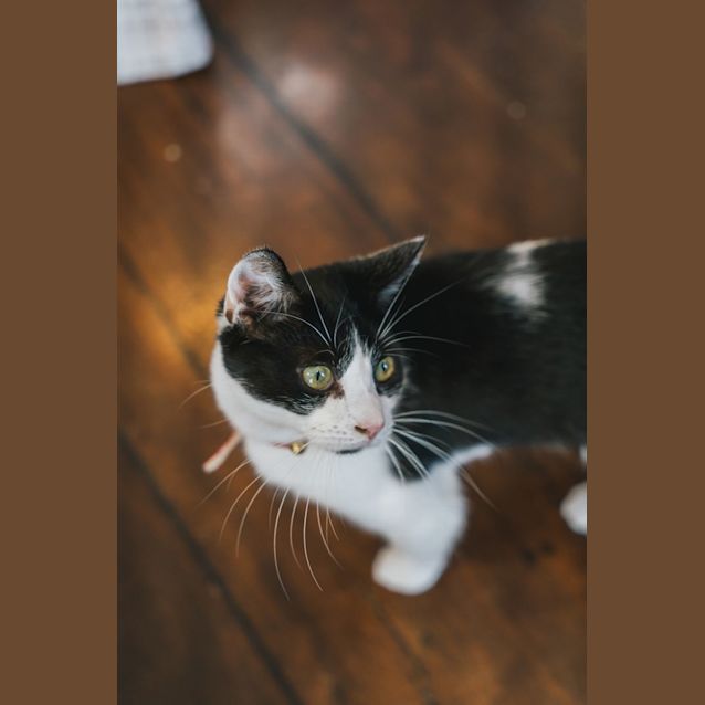 Photo of Pee Wee