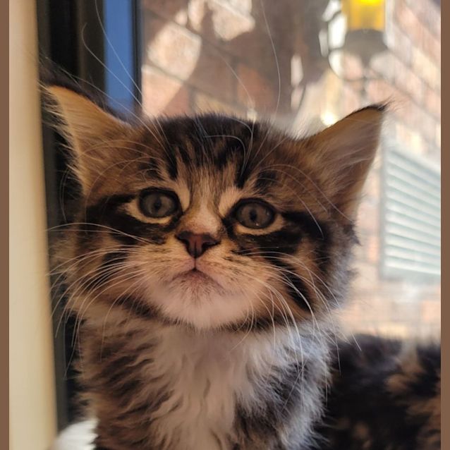 Photo of 🤪 Goober 🤪