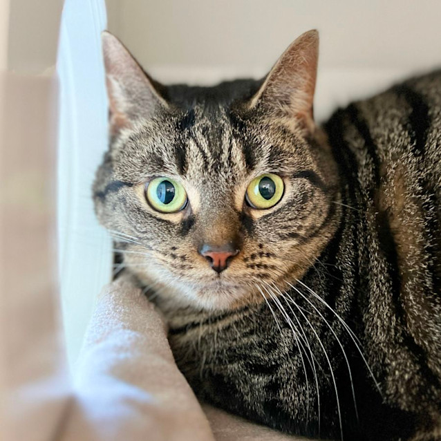 Photo of Susie & Ally