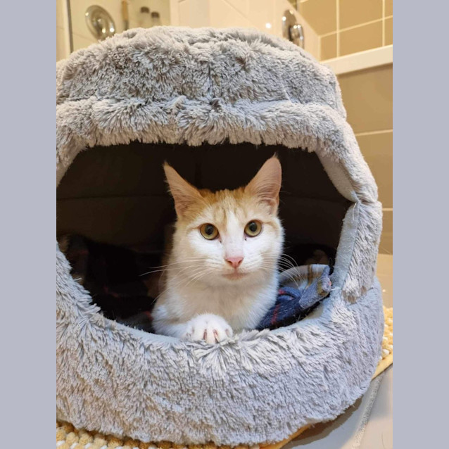 Photo of Misty