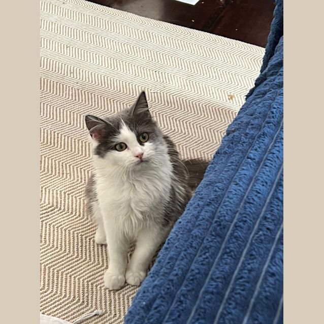 Photo of Rosie
