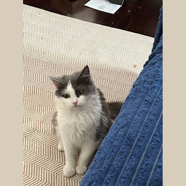 Photo of Rosie