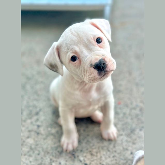 Photo of Riot
