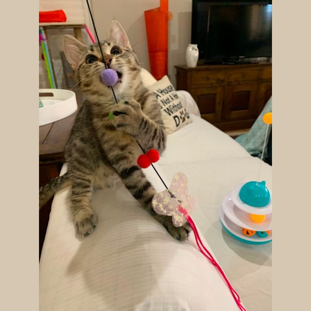 Photo of Shak & Shilo