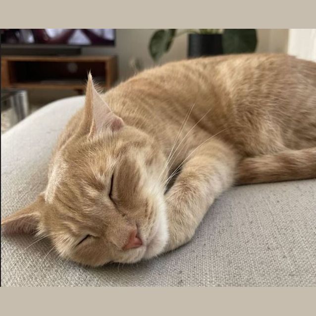 Photo of Elsa