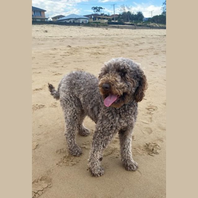 Photo of Mocha 