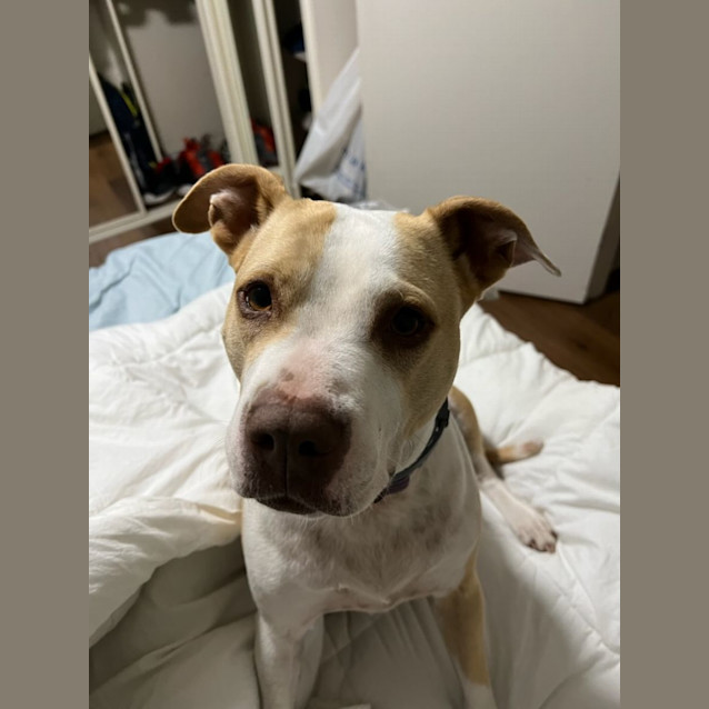 Photo of Marley