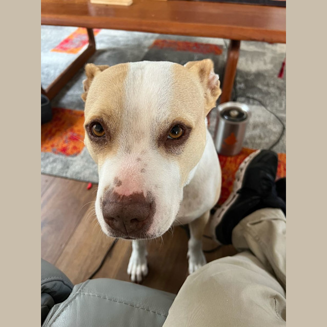 Photo of Marley