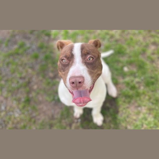 Photo of Cooper