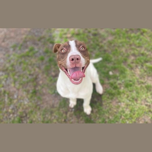 Photo of Cooper