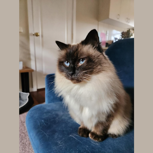 Photo of Molly