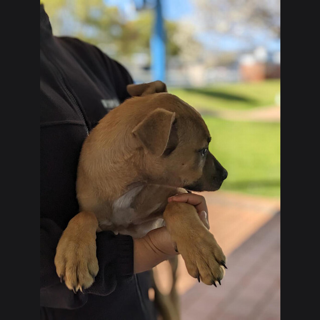 Photo of Jed