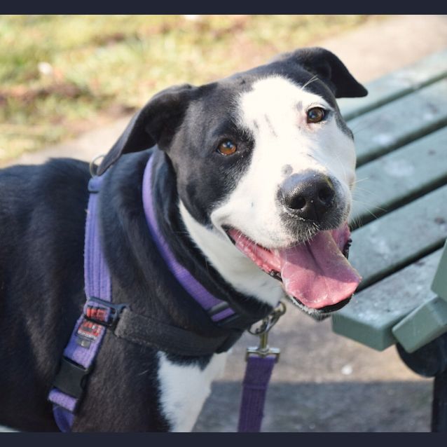 Photo of Diamond