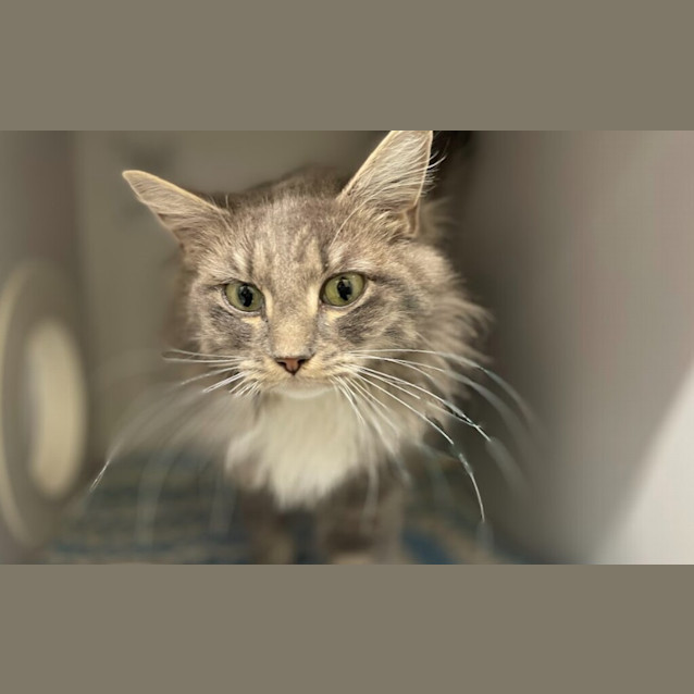 Photo of Mademoiselle