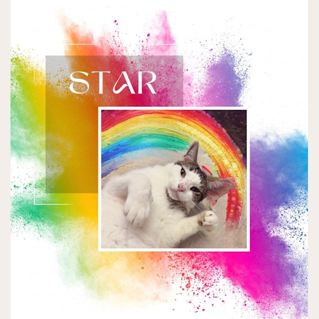 Photo of Star