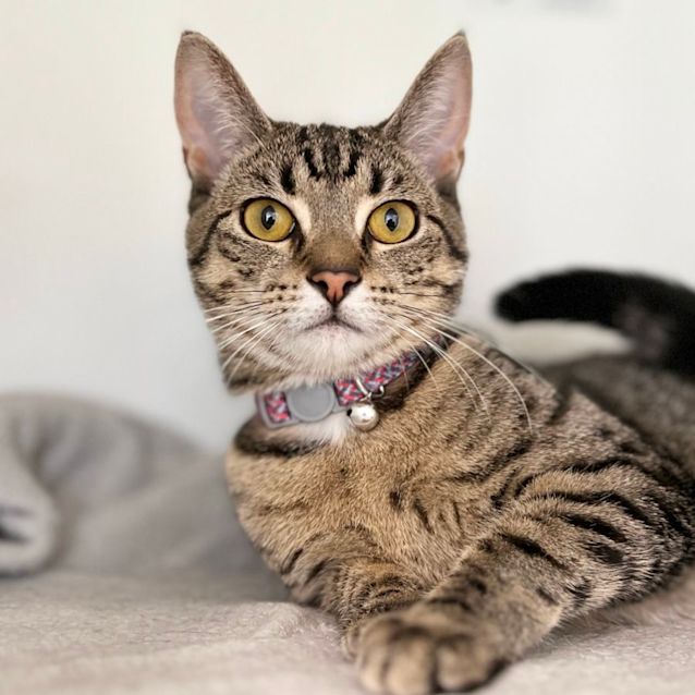 Photo of Princess Peaches