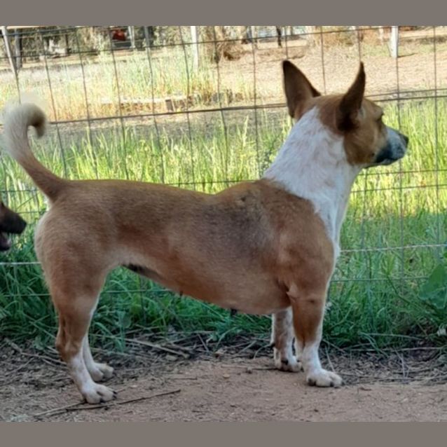 Photo of Hattie