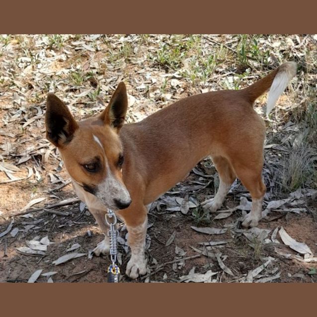 Photo of Hattie