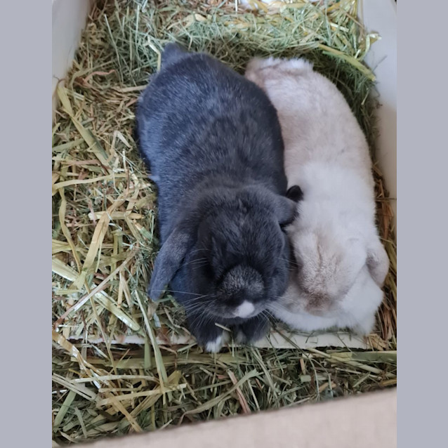 Photo of Leon & Lucille 