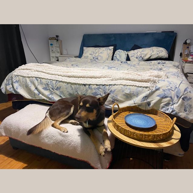 Photo of Forrest (John Snow)