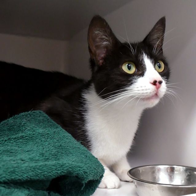 Photo of Kimbra Rsta010825