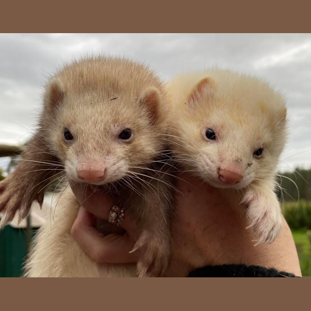 Photo of Claire & Nelly