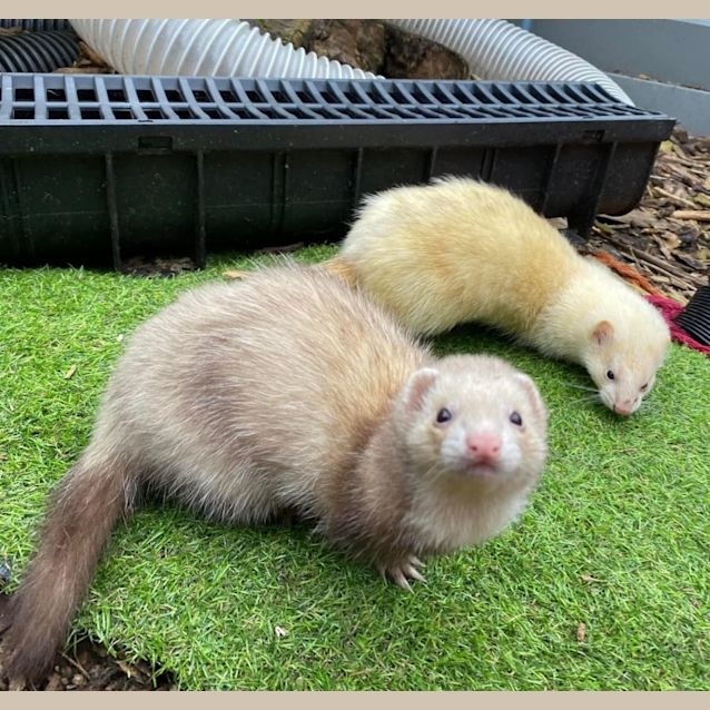 Photo of Claire & Nelly