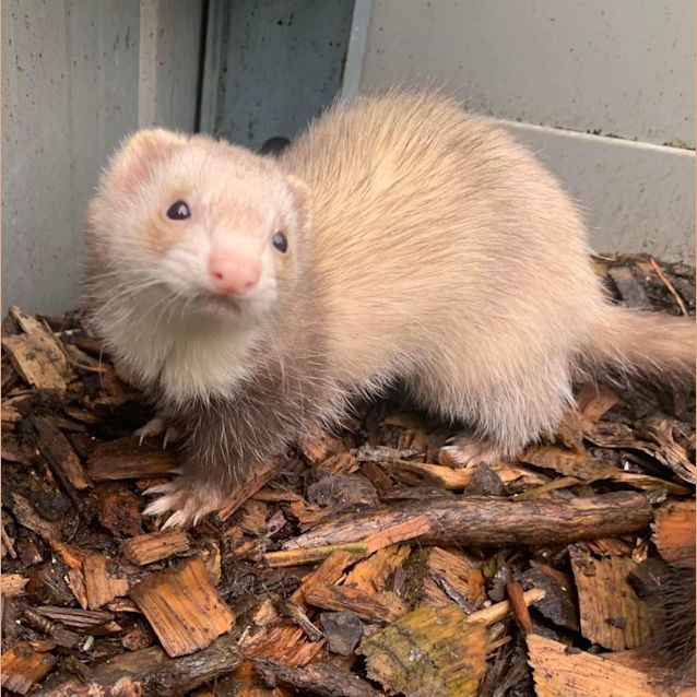 Photo of Claire & Nelly