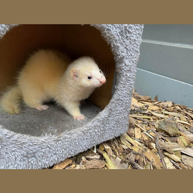 Photo of Claire & Nelly