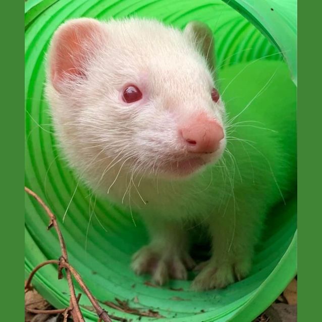 Photo of Bruce & Lee