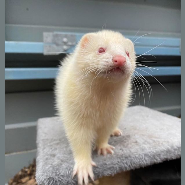 Photo of Amelia & Alice