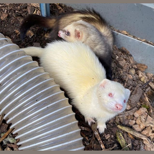 Photo of Amelia & Alice